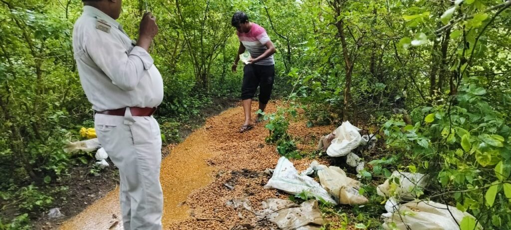 थाना मालखरौदा क्षेत्र के ग्राम खर्री म 70 बोरी महुआ लहान (महुआ पास) ल  नष्ट करे म  महुआ शराव विक्रेता म मचीस  दहशत